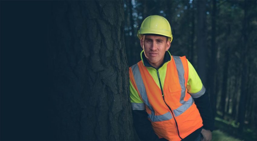forestry safety
